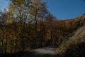 b_120_90_16777215_Autunno_05.JPG