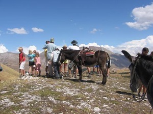 Agriturismo le radici - Trekkin Asini